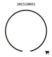 AGCO 3015100X1 Стопорное кольцо