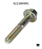 AGCO 4223099M1 Болт с шестигранной головкой и фланцем