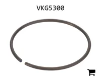 AGCO VKG5300 Кольцо