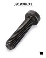 AGCO 3010986X1 Винт с цилиндрической головкой и шестигранным углублением