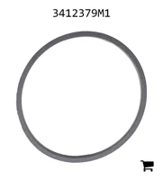 AGCO 3412379M1 Кольцо