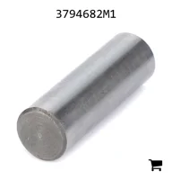 AGCO 3794682M1 Палец вилки