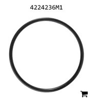 AGCO 4224236M1 Уплотнительное кольцо