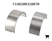 AGCO F148200310070 Шатунный вкладыш