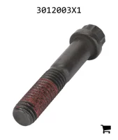 AGCO 3012003X1 Винт с 12-гранной головкой с фланцем