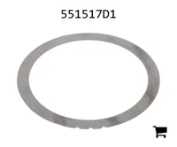 AGCO 551517D1 Шайба