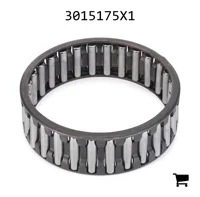 AGCO 3015175X1 Игольчатый подшипник коробки передач