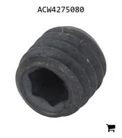 AGCO ACW4275080 Вставка