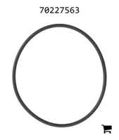 AGCO 70227563 Уплотнение