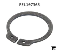 AGCO FEL107365 Стопорная шайба