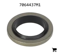 AGCO 7064437M1 Уплотнительная шайба