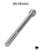 AGCO 3015016X1 Винт с цилиндрической головкой и шестигранным углублением