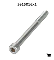 AGCO 3015016X1 Винт с цилиндрической головкой и шестигранным углублением