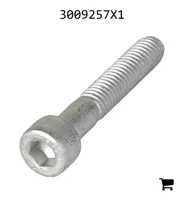 AGCO 3009257X1 Винт с цилиндрической головкой и шестигранным углублением