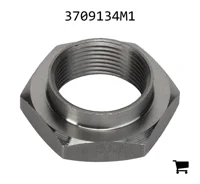 AGCO 3709134M1 Шестигранная гайка