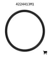 AGCO 4224413M1 Уплотнительное кольцо