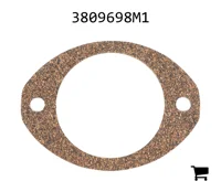 AGCO 3809698M1 Прокладка гидравлического элемента