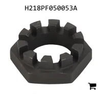 AGCO H218PF050053A Корончатая гайка