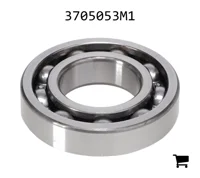 AGCO 3705053M1 Подшипник