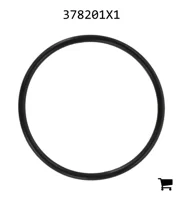 AGCO 378201X1 Уплотнительное кольцо