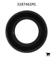 AGCO 3187461M1 Уплотнение