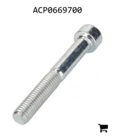 AGCO ACP0669700 Винт с шестигранной головкой