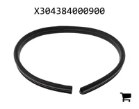 AGCO X304384000900 Защитная полоса