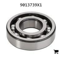 AGCO 9013739X1 Шариковый подшипник