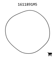 AGCO 1611891M5 Уплотнение