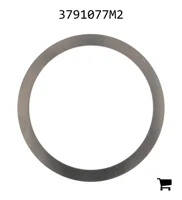 AGCO 3791077M2 Регулировочная шайба