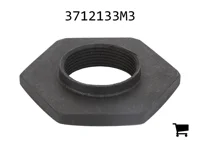 AGCO 3712133M3 Специальная гайка