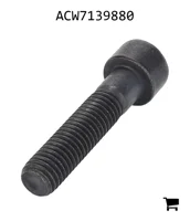 AGCO ACW7139880 Болт