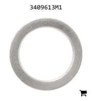 AGCO 3409613M1 Шайба