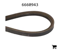 AGCO 6660943 Ремень