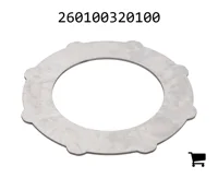 AGCO 260100320100 Наружный диск