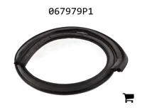 AGCO 067979P1 Уплотнитель