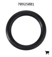AGCO 70925081 Уплотнительное кольцо гидравлики
