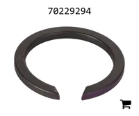 AGCO 70229294 Кольцо