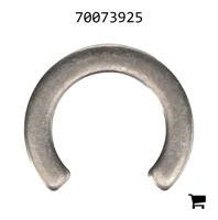 AGCO 70073925 Кольцо