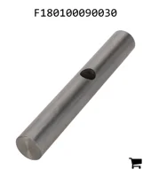 AGCO F180100090030 Палец подшипника AGCO