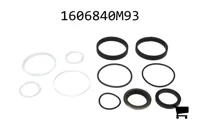 AGCO 1606840M93 Комплект уплотнений
