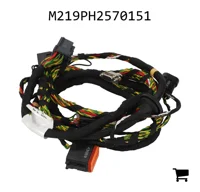 AGCO M219PH2570151 Жгут проводов