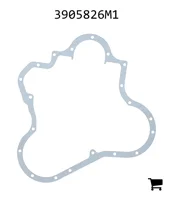 AGCO 3905826M1 Шарнир