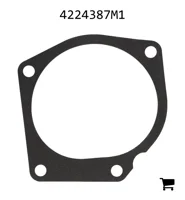 AGCO 4224387M1 Прокладка водяного насоса