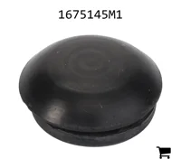 AGCO 1675145M1 Заглушка