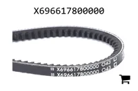 AGCO X696617800000 Ремень клиновой