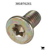 AGCO 3010762X1 Винт с головкой Torx