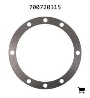 AGCO 700720315 Шайба