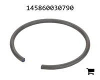 AGCO 145860030790 Стопорное кольцо