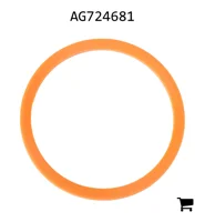 AGCO AG724681 Опорное кольцо